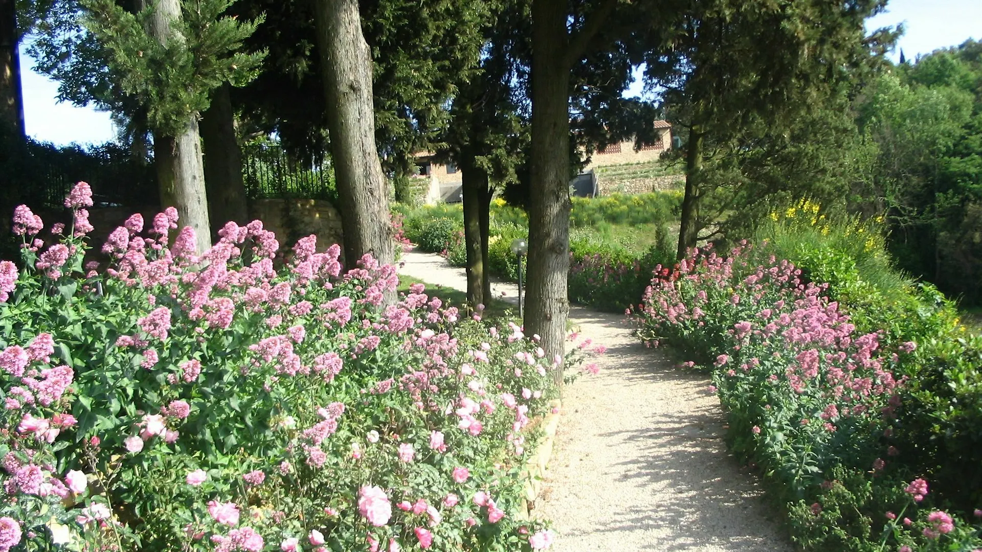 La Casetta - Casa di Campagna Montaione